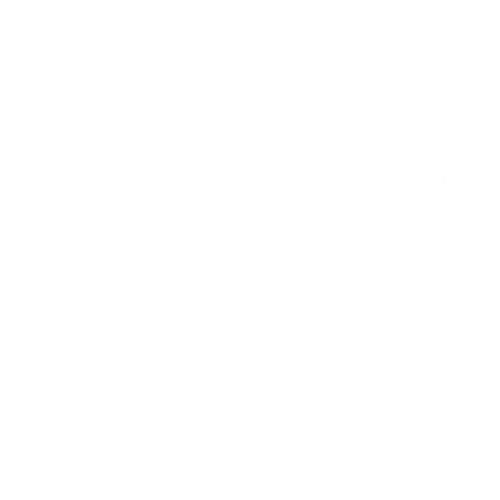 Made In Dijon 🚀 